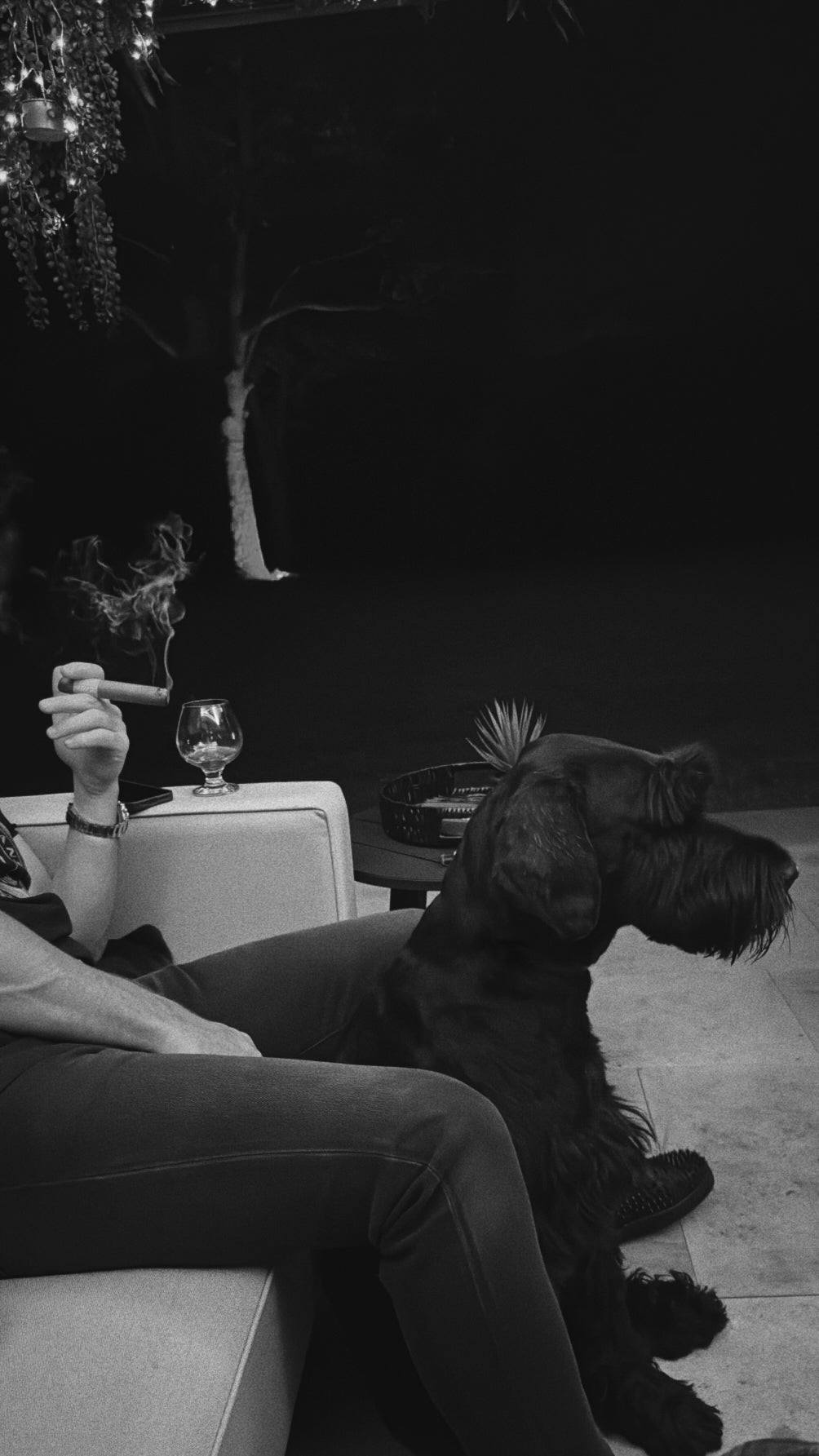 A man & his dog canvas.