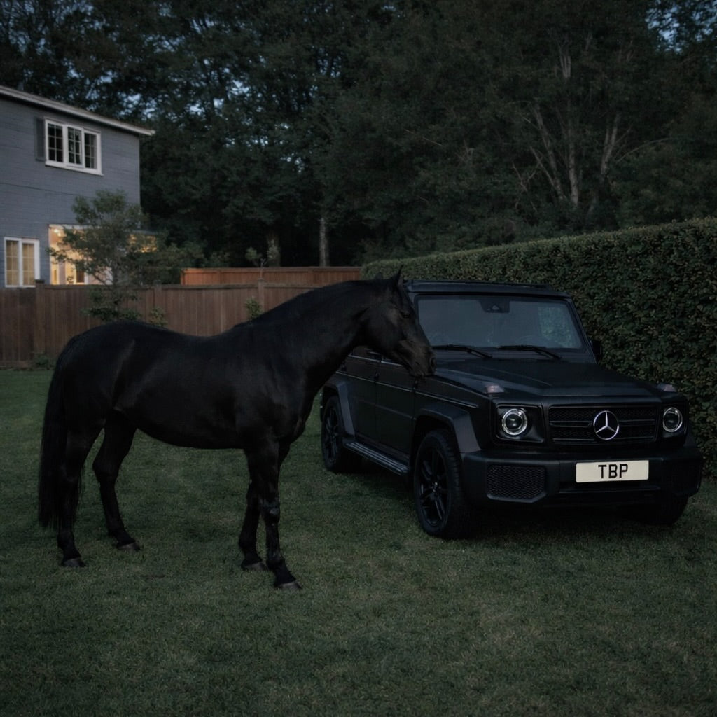 Year of the horse print