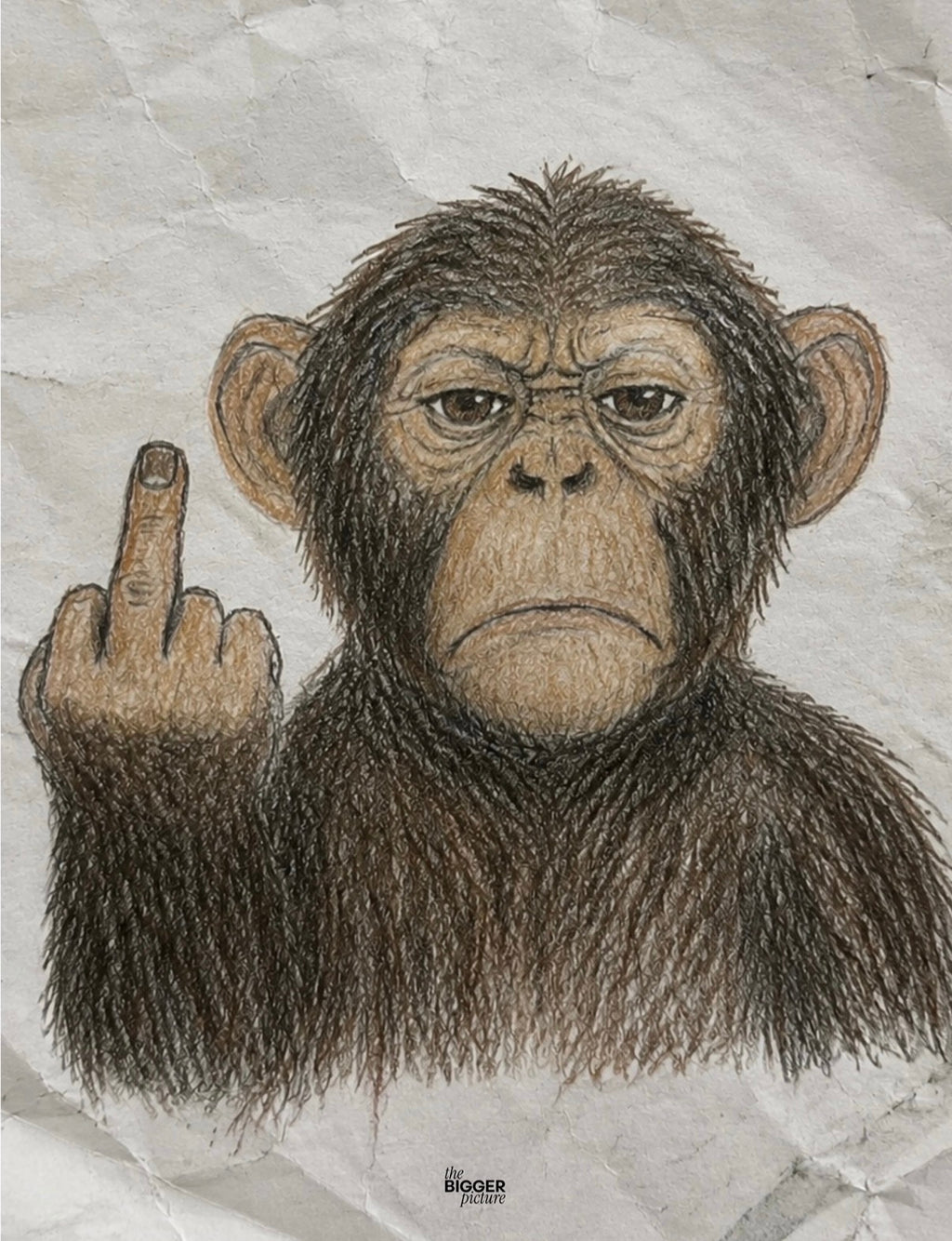 Middle finger monkey print