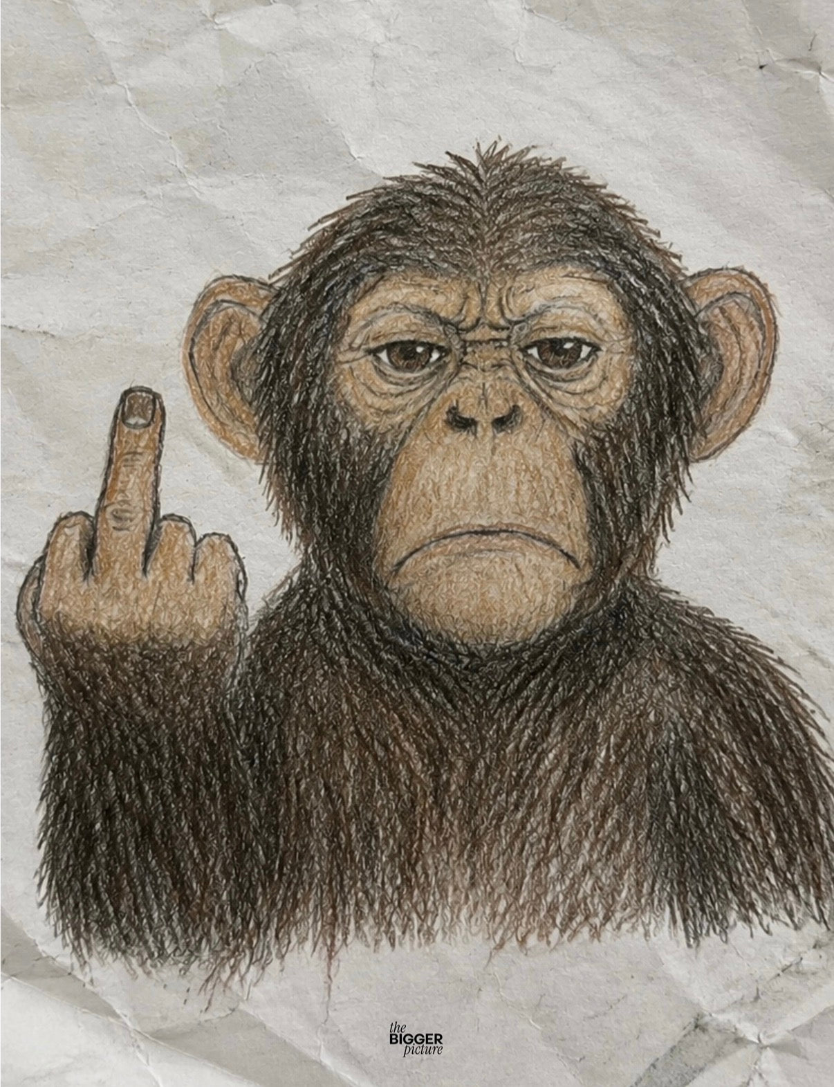 Middle finger monkey print